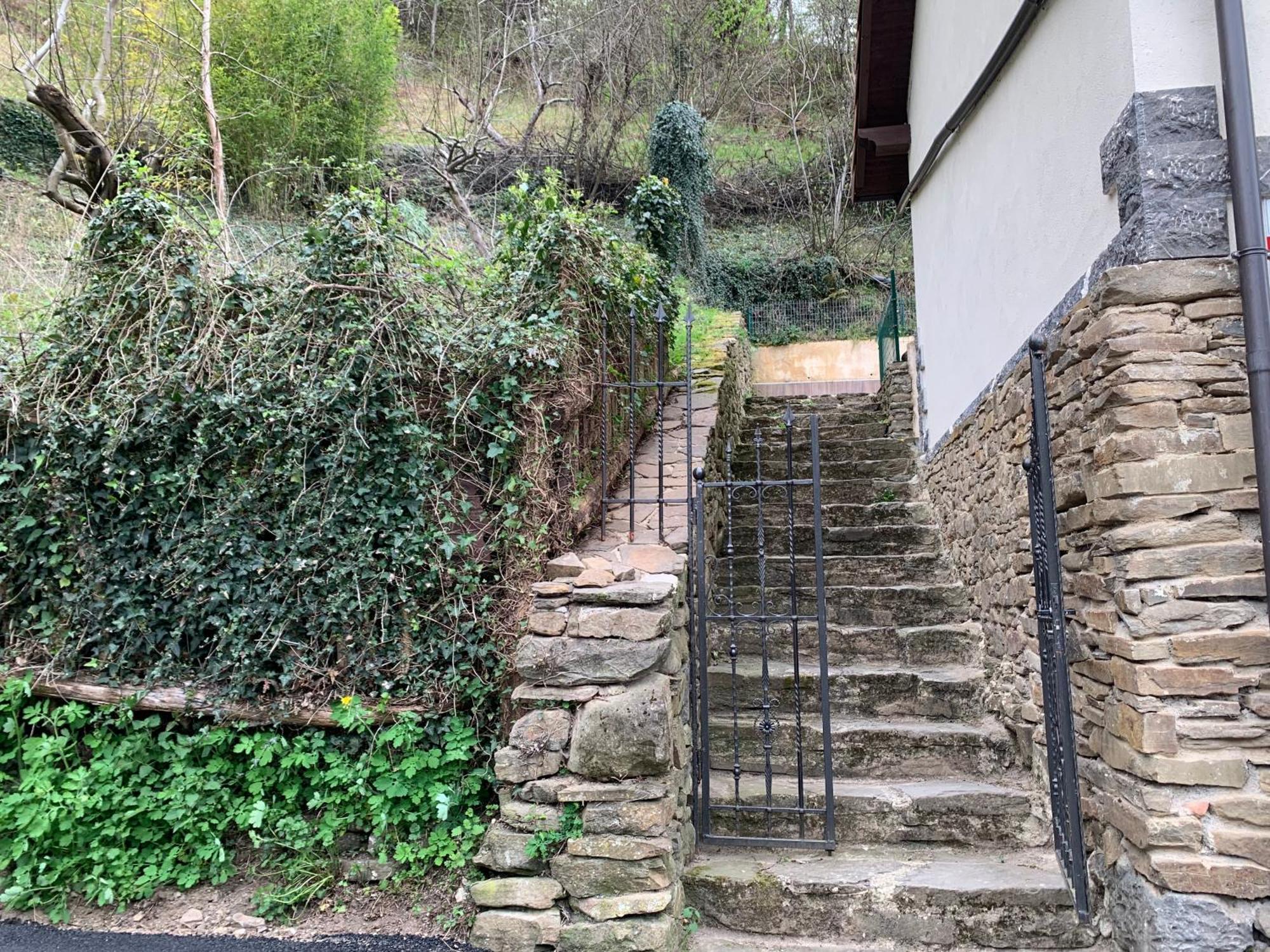 Casa Rural En Santa Cruz-Mieres Bustiello  Eksteriør billede